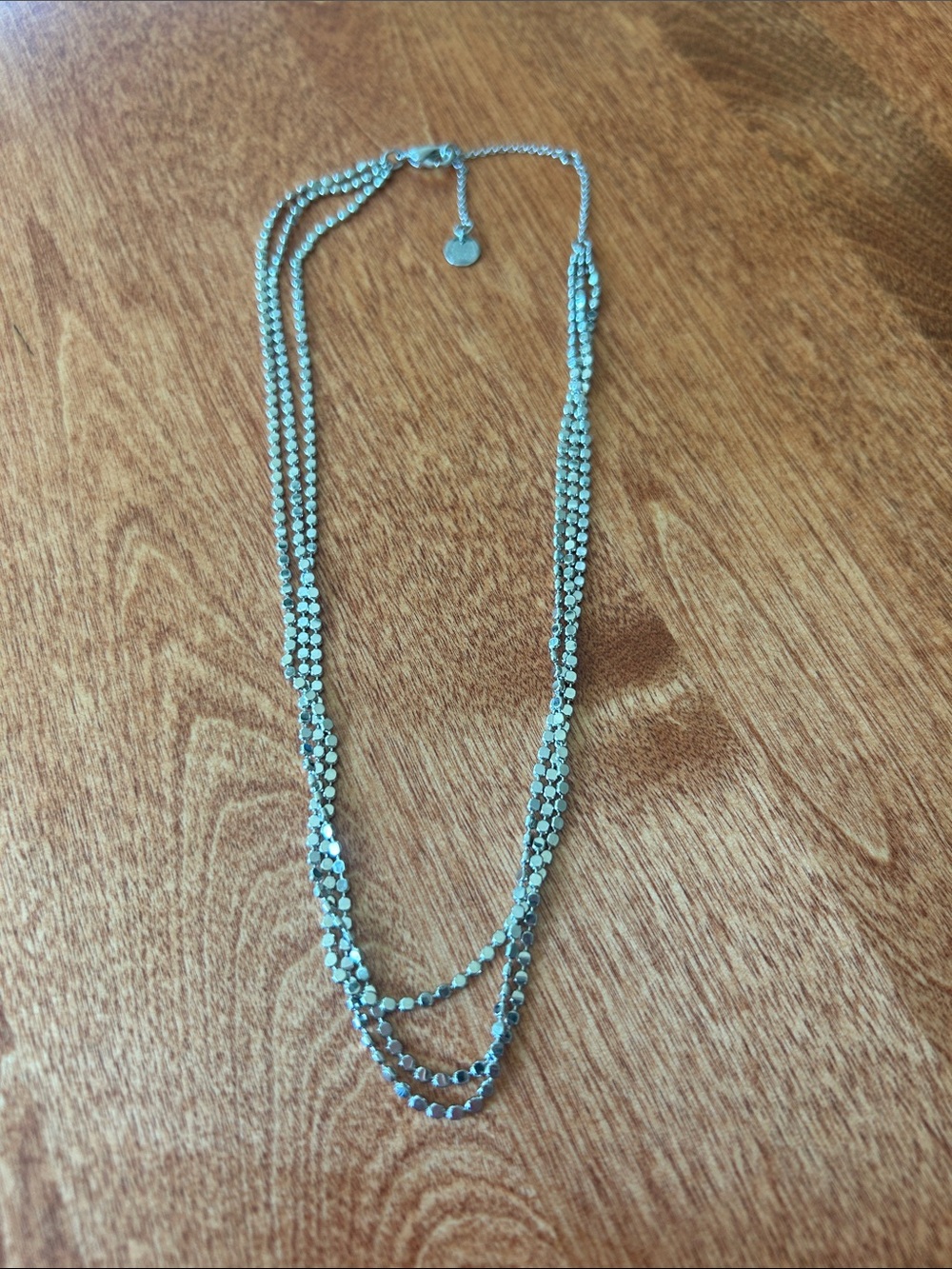 Pura Vida Multi-Layered Silver Chained Clasped Necklace